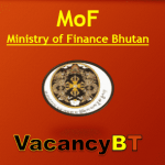 Ministry of Finance Vacancy Announcement 2019