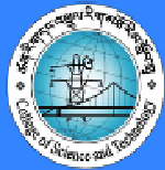 www.cst.edu.bt Vacancy 2023